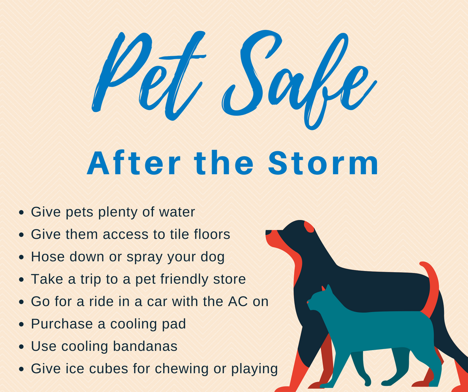 Keep Pets Cool